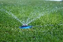 DSC01206.webp