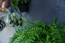 DSC01518 (1).webp